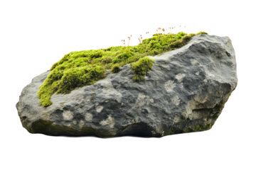 Large grey rock with vibrant green moss covering its surface. Densely packed moss creates textured pattern on rock. Grey stone isolated on isolated transparent background, moss grows on surface.