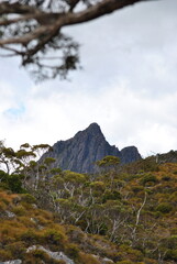 Tasmania 