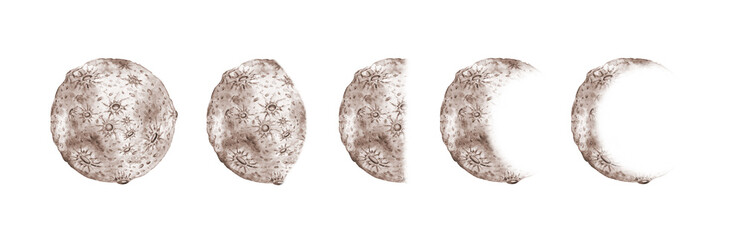 Moon phases in brown and beige tones set watercolor illustration. Cosmic body isolated from background. Astrology of moon phases. Design concept for poster, card, banner, clothing, wallpaper packaging