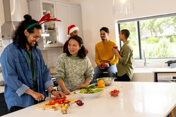 Christmas time, multiracial friends preparing festive meal together in kitchen, at home © WavebreakMediaMicro