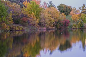 Autumn at Parc Angrignon, Quebec, Canada