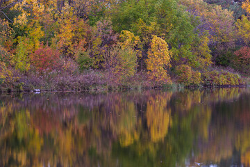 Autumn at Parc Angrignon, Quebec, Canada