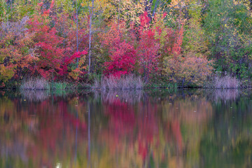 Autumn at Parc Angrignon, Quebec, Canada