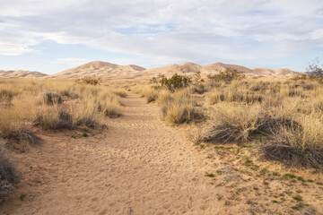 Walking path to Kelso Dunes, Mojave National Preserve, California