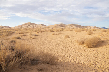 Kelso Dunes, Mojave National Preserve, California