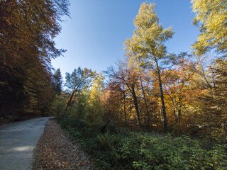 Obraz premium Autumn panorama of Vitosha Mountain, Bulgaria