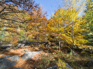 Autumn panorama of Vitosha Mountain, Bulgaria