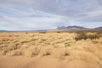 Mojave National Preserve, California