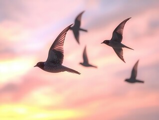 Birds in flight with vibrant sky, dynamic movement, soft lighting, serene atmosphere, photo-realistic