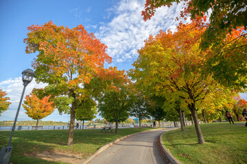 Naklejka premium Autumn colors at Old Port Montreal, Canada