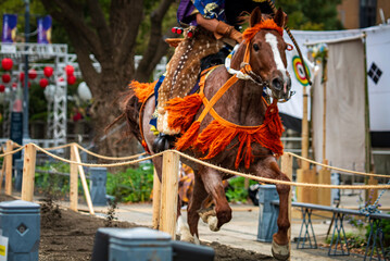 流鏑馬神事の走る馬