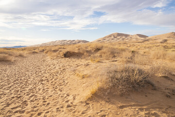 Walking path to Kelso Dunes, Mojave National Preserve, California