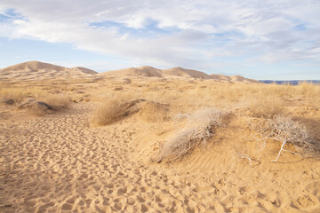 Walking path to Kelso Dunes, Mojave National Preserve, California