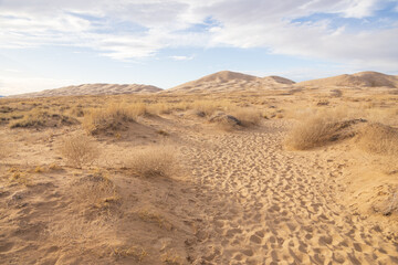 Walking path to Kelso Dunes, Mojave National Preserve, California