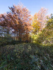 Autumn panorama of Vitosha Mountain, Bulgaria