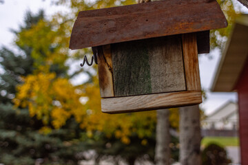 Wooden birdhouse with vibrant trees in the background 
