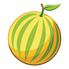 melon on white background