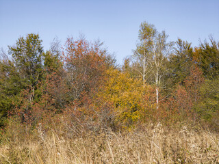 Fototapeta premium Autumn panorama of Vitosha Mountain, Bulgaria