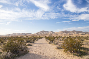 Walking path to Kelso Dunes, Mojave National Preserve, California