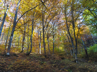 Autumn panorama of Vitosha Mountain, Bulgaria