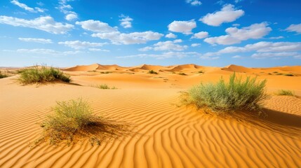 Fototapeta premium Desert Dunes under a Blue Sky