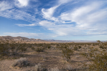 Fototapeta premium Mojave National Preserve, California 