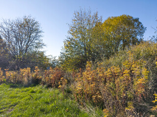 Autumn panorama of Vitosha Mountain, Bulgaria