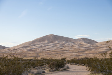 Kelso Dunes, Mojave National Preserve, California
