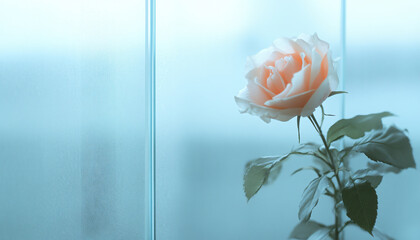 Minimalist and unique interior design in the house