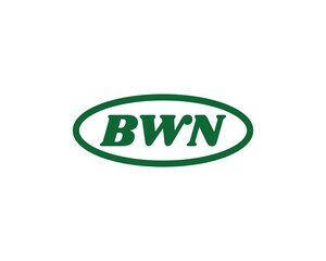 BWN logo design vector template. BWN