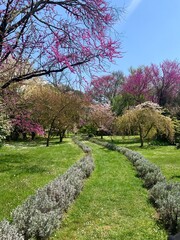 Beautiful garden pathway in Italy