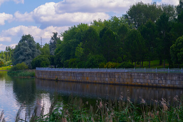 a promenade with green trees and a blue sky with clouds.