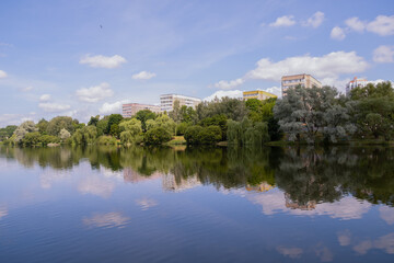 Fototapeta premium sunny day, bright green embankment.