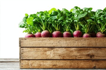 Stylized 3D Illustration of Chioggia Beets in Wooden Box