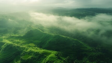 Obraz premium A breathtaking view of rolling hills covered in lush greenery, blanketed by a soft mist. The gentle light of dawn illuminates the tranquil landscape, enhancing its natural beauty.