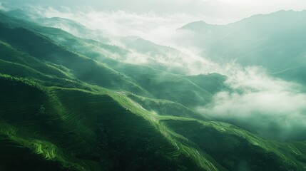 Obraz premium A breathtaking view of rolling hills covered in lush greenery, blanketed by a soft mist. The gentle light of dawn illuminates the tranquil landscape, enhancing its natural beauty.