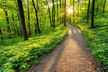 serene forest path illuminated by sunlight, symbolizing hope and new beginnings