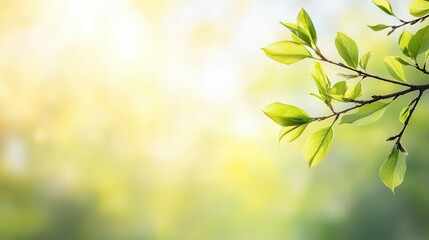 Obraz premium Closeup of a budding tree branch, delicate spring growth, soft green hues, outdoor awakening