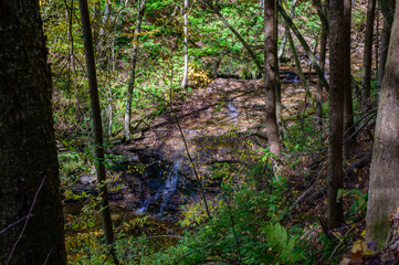 Waterfall through the Trees on the Four Mile Run Creek by the Turkey Path Trail in Leonard Harrison State Park, in Watson Township, Pennsylvania.