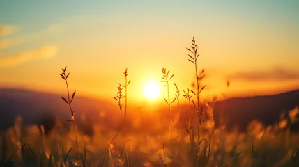 A tranquil sunrise over a field of grass, capturing the beauty of nature and the warmth of dawn.