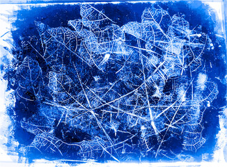 Leaf print collage of ink stamp offset in deep indigo blue