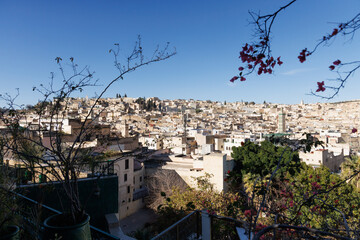 Panoramic view of Fez Medina in Morocco