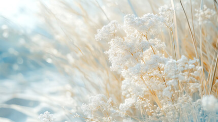 Delicate white plants captured in soft light, creating a serene and tranquil scene against a gentle, blurred background.