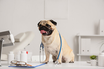 Cute pug dog with stethoscope on doctor's desk in clinic