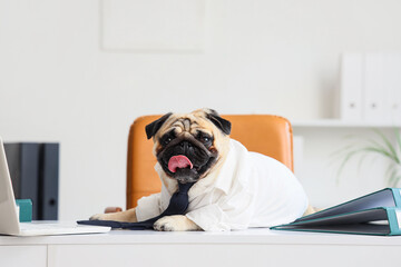 Funny pug dog with necktie and laptop at desk in office