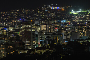 ニュージーランド　ウェリントンにあるステリン記念公園からみえる市街地と港の夜景
