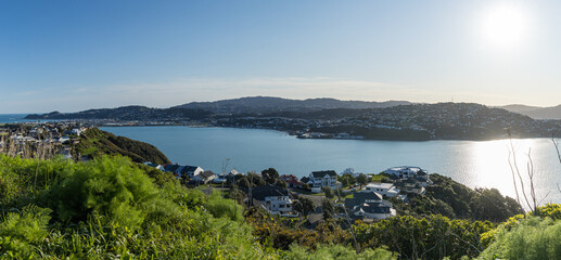 ニュージーランド　ウェリントンにあるマウプイア公園からみえる街並みとエヴァンス湾