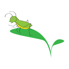  insect vector illustration