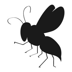  insect vector illustration