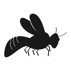  insect vector illustration